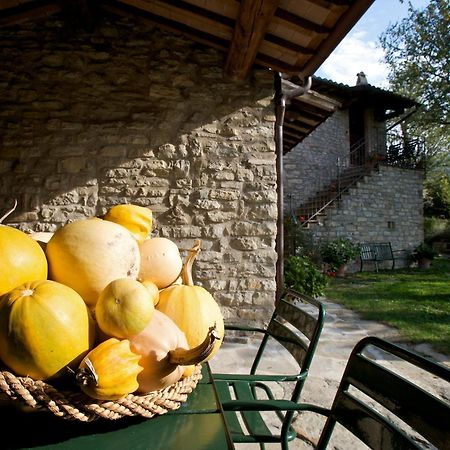 Brigolante Guest Apartments Assisi Camera foto